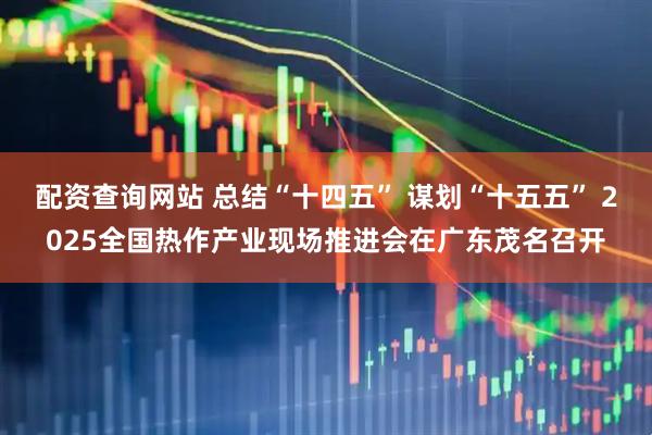 配资查询网站 总结“十四五” 谋划“十五五” 2025全国热作产业现场推进会在广东茂名召开
