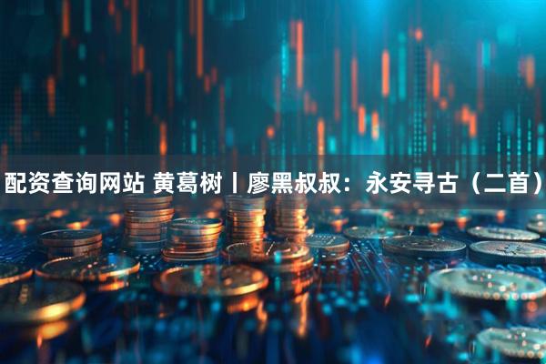配资查询网站 黄葛树丨廖黑叔叔：永安寻古（二首）