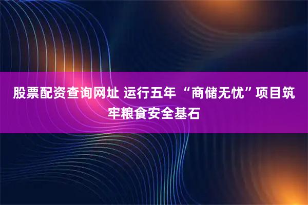 股票配资查询网址 运行五年 “商储无忧”项目筑牢粮食安全基石